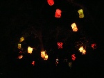 Maulbeerbaum bei Nacht